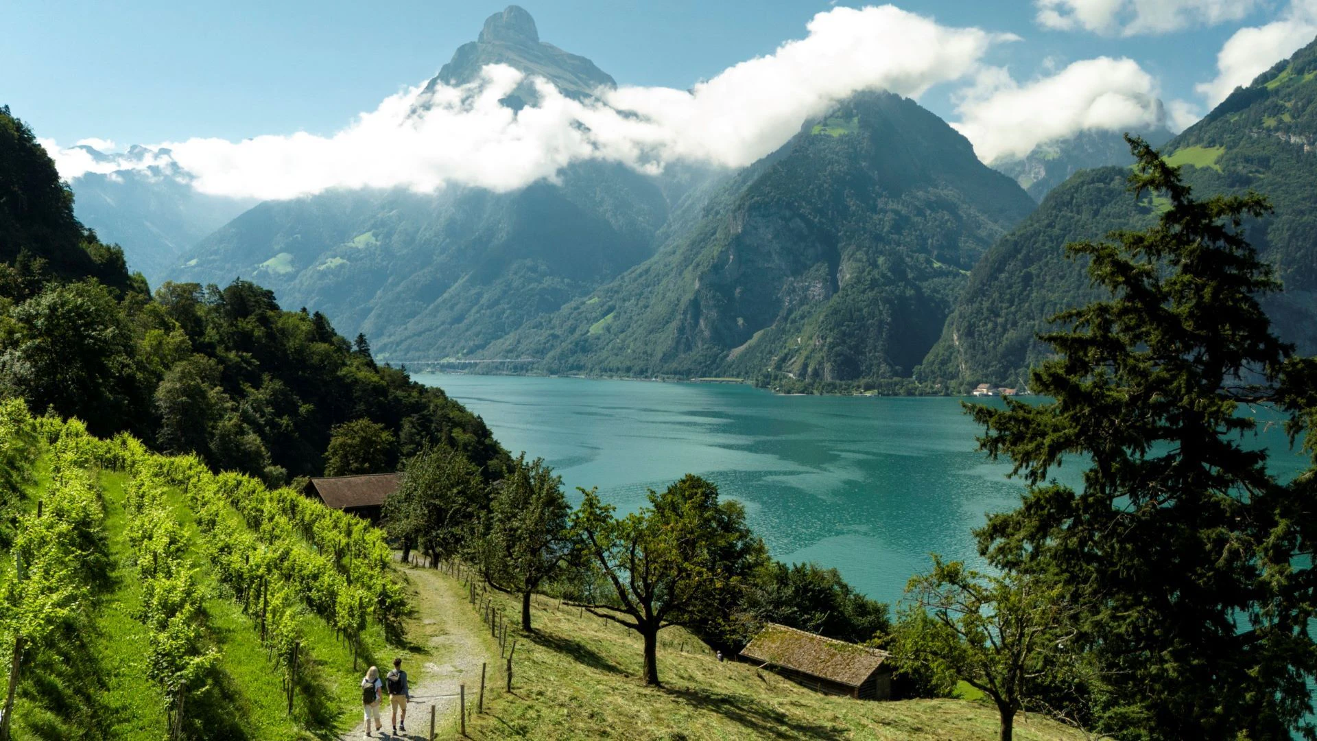 Paar auf dem kurzen Wanderweg zur Tellsplatte bei Sisikon.